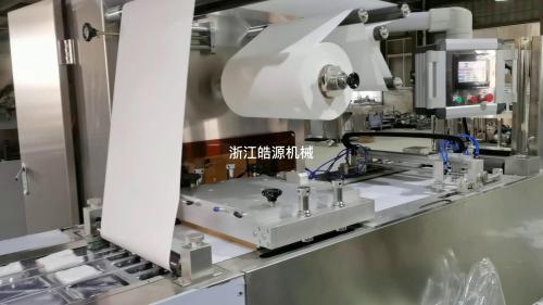 浙江皓源機械拉伸膜紙塑包裝機視頻